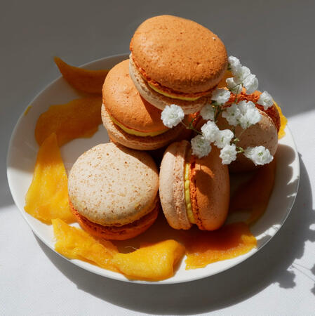 mango graham PHP 160